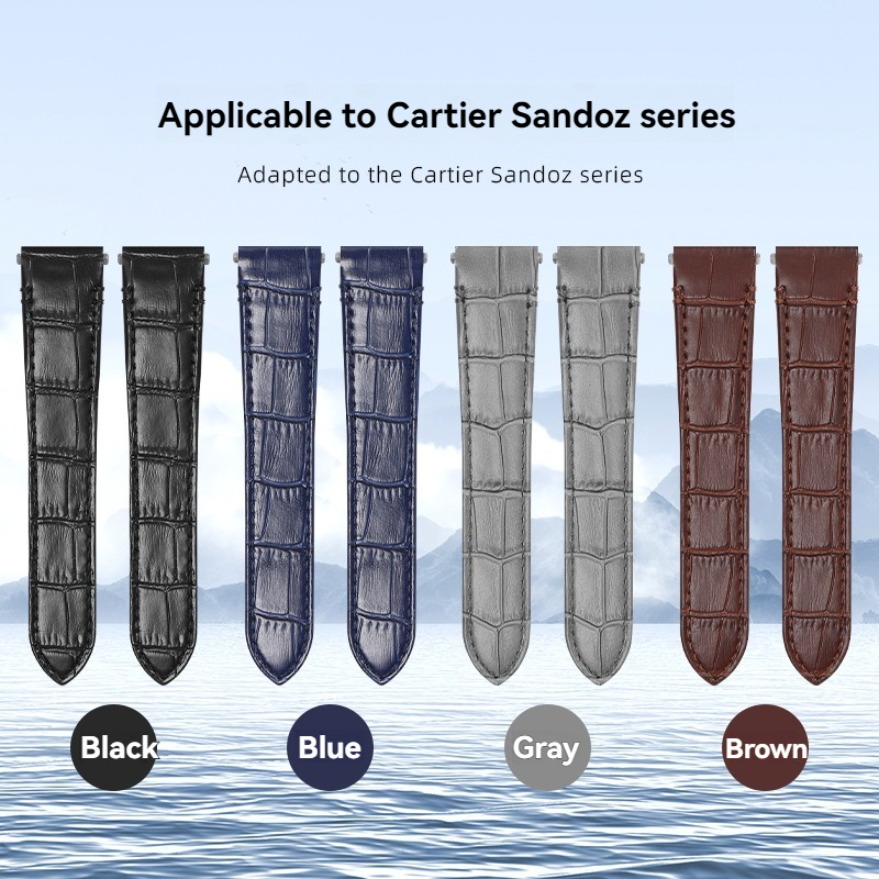 Voor Cartier Santos Quick Rele - Cartier Watch Tank recensie en prijs