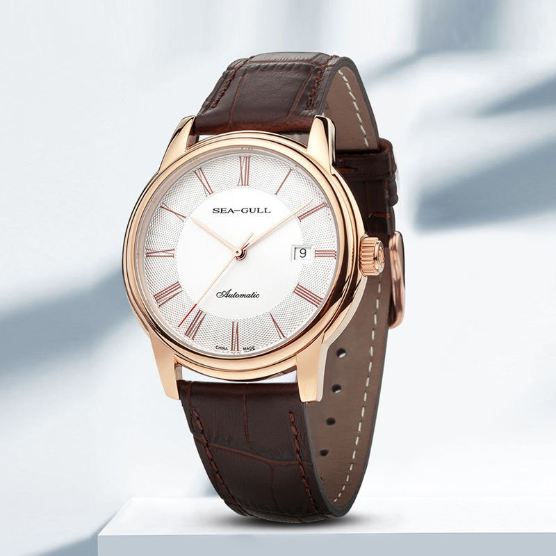 Seagull Mannen Mechanische Hor - Seiko Watch Presage recensie en prijs